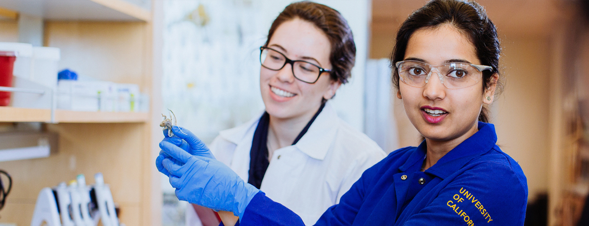 UCMerced students working in lab